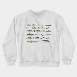 European Freshwater Fish Group Crewneck Sweatshirt